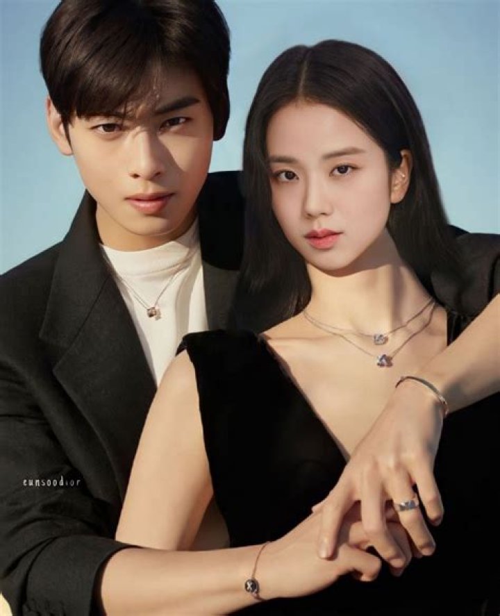 Are Cha Eun Woo And Rose Dating? Exploring The Rumors