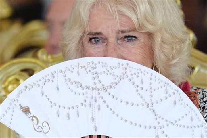 Camilla: Leaked Details And Revelations