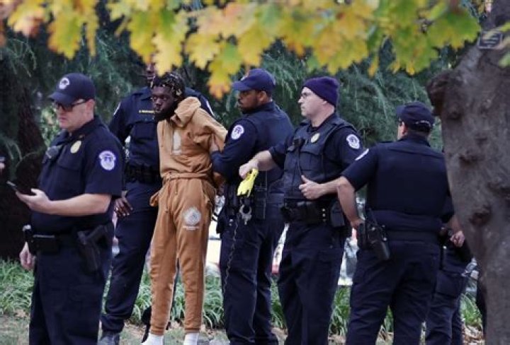 Did Molly Nobllit Get Arrested? The Full Story Unveiled