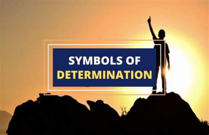 Did Nyad Make It? A Journey Of Grit And Determination