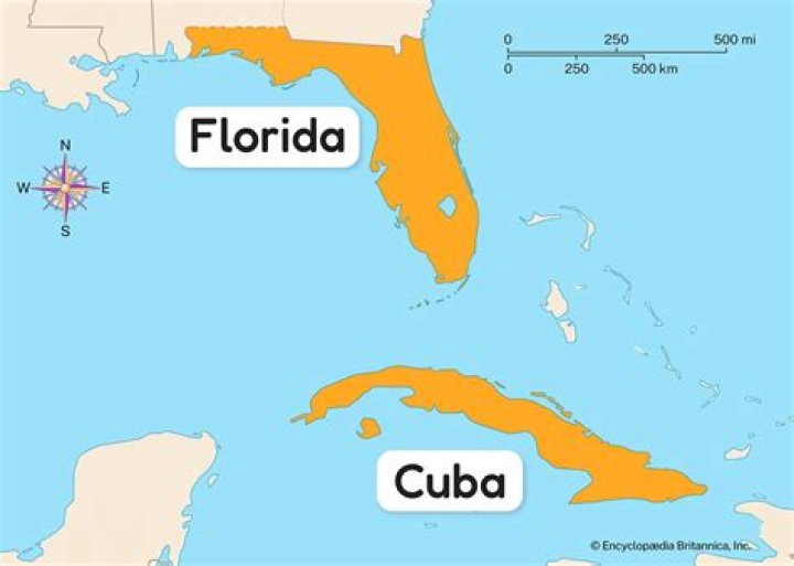 Did Nyad Swim From Cuba To Florida? An Incredible Journey