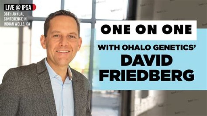 Discovering The Age And Journey Of David Friedberg