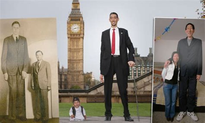 Discovering The Height Of Rob Lowe: How Tall Is He In Feet?