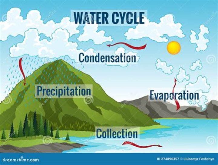 Exploring Querio Agua: The Essence Of Water And Its Journey