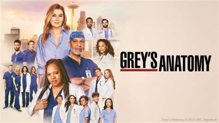 Exploring The Reasons Behind Sandra Oh's Departure From Grey's Anatomy