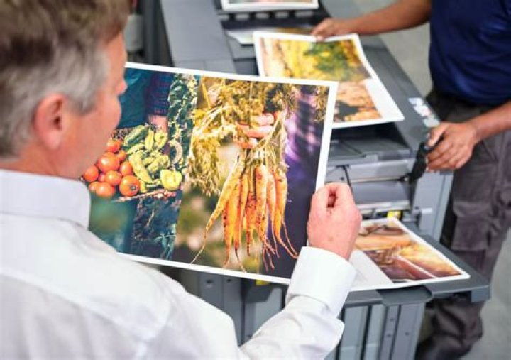 Practical Solutions For Your Business Needs: Discover Lilli Brings