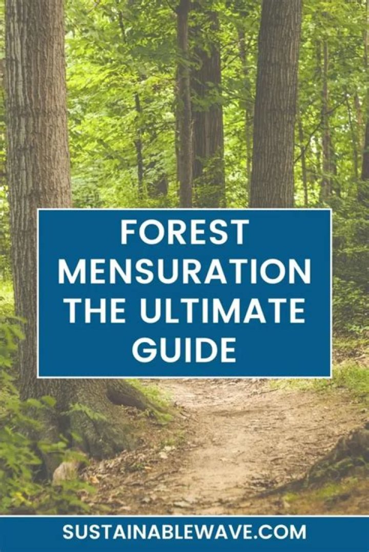 The Ultimate Guide To Tyla Mensuration: Techniques, Benefits And More