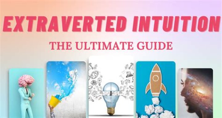 The Ultimate Guide To Xxbits: Everything You Need To Know