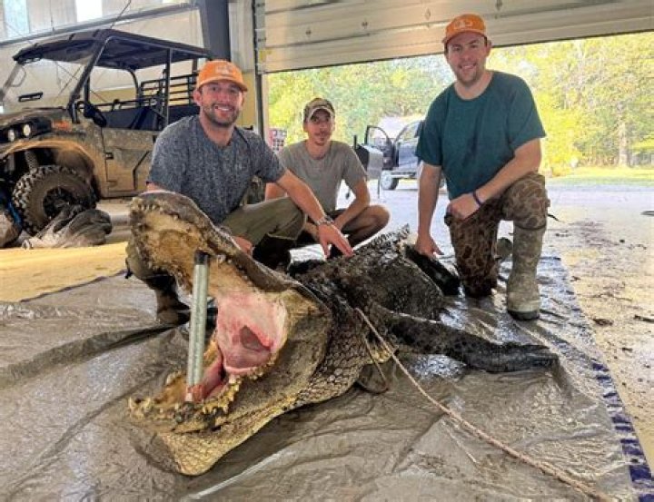 Unearthing The Income Of Alligator Hunters