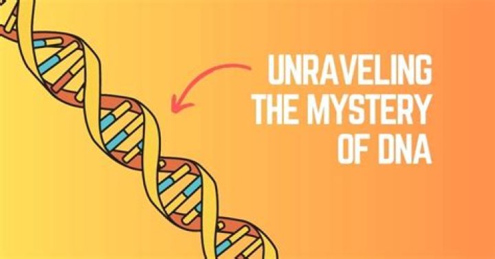 Unraveling The Mystery: Is Molly Arrested?