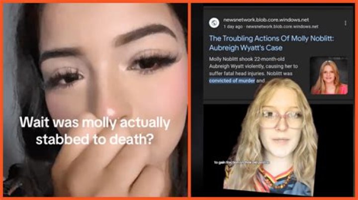 Unraveling The Mystery: Is Molly Noblitt Doll A Real Person?