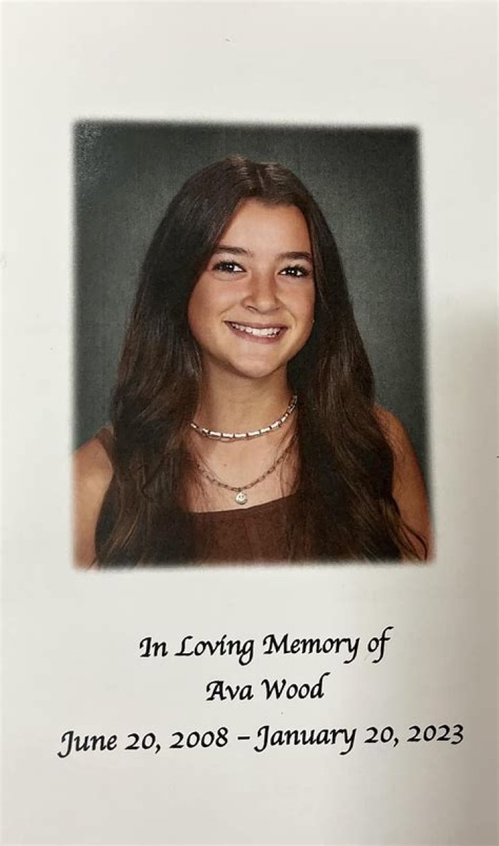 Unveiling The Shadows: Who Were The Girls Who Bullied Aubreigh?