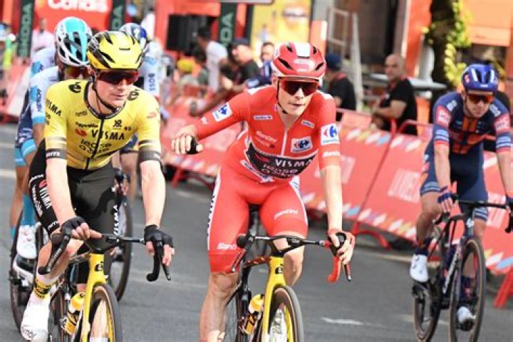 Where Was Jonas Vingegaard Born?